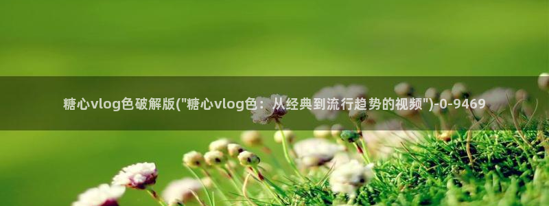 糖心vlog在线官网