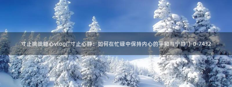 糖心vlog在线观看ios