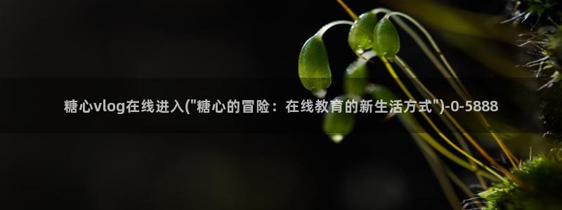 糖心vlog麻豆