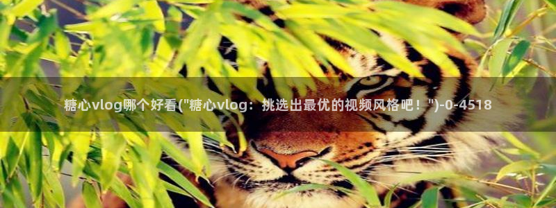 糖心vlog视频在线观看