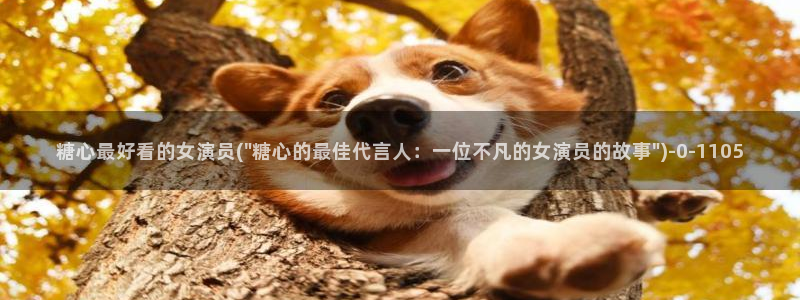 心糖vlogo
