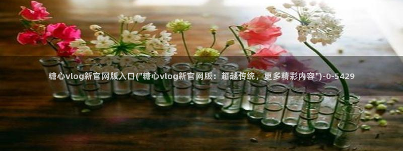 心糖vlog在线免费播放