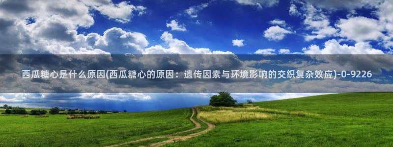 《糖心vlog》