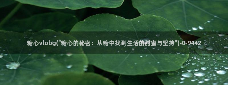 糖心vlog看片