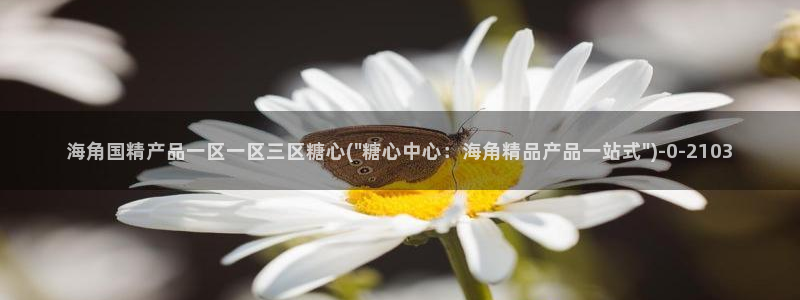 糖心vlog最新网站