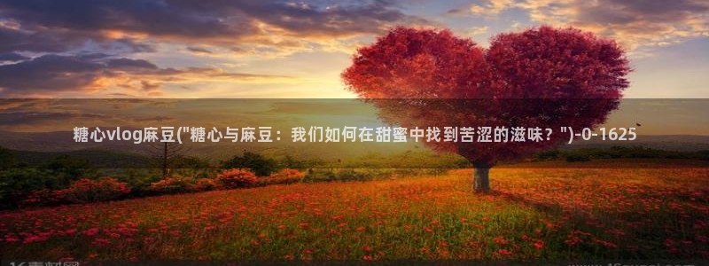 糖心vlog记录