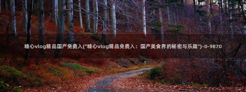 糖心vlog极品