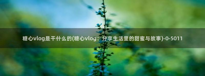 糖心vlog视频免费观看