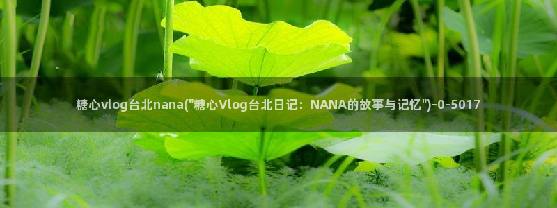 糖心vlog都有谁