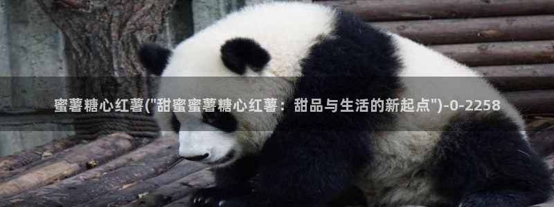 糖心vlog中国