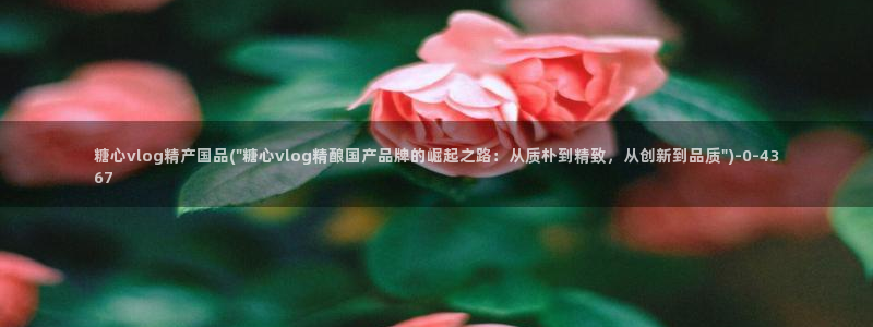 糖心vlog国产入口